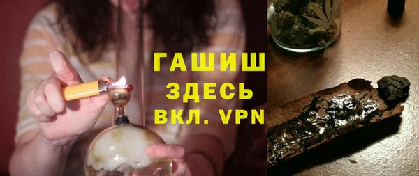 индика Михайловск