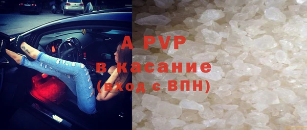 СК Надым