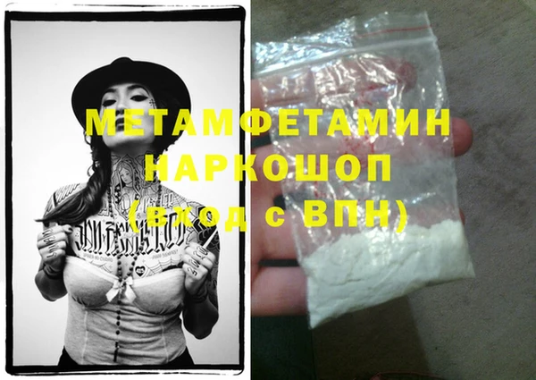 индика Михайловск