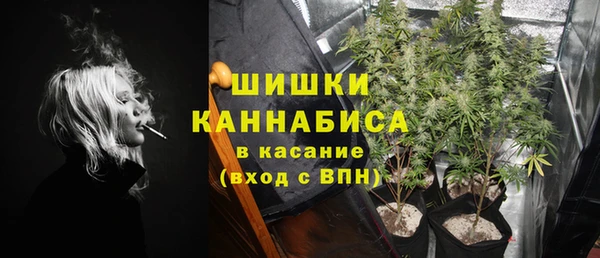 СК Надым